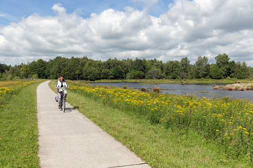 Woman at bike in Dutch national park with forest and wetlands