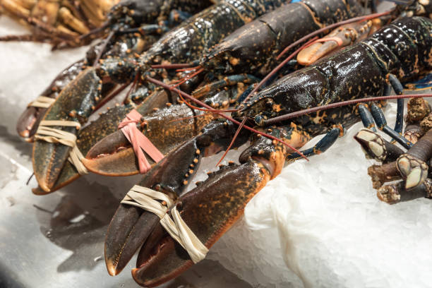 istock Of the market sea fish 1093107360