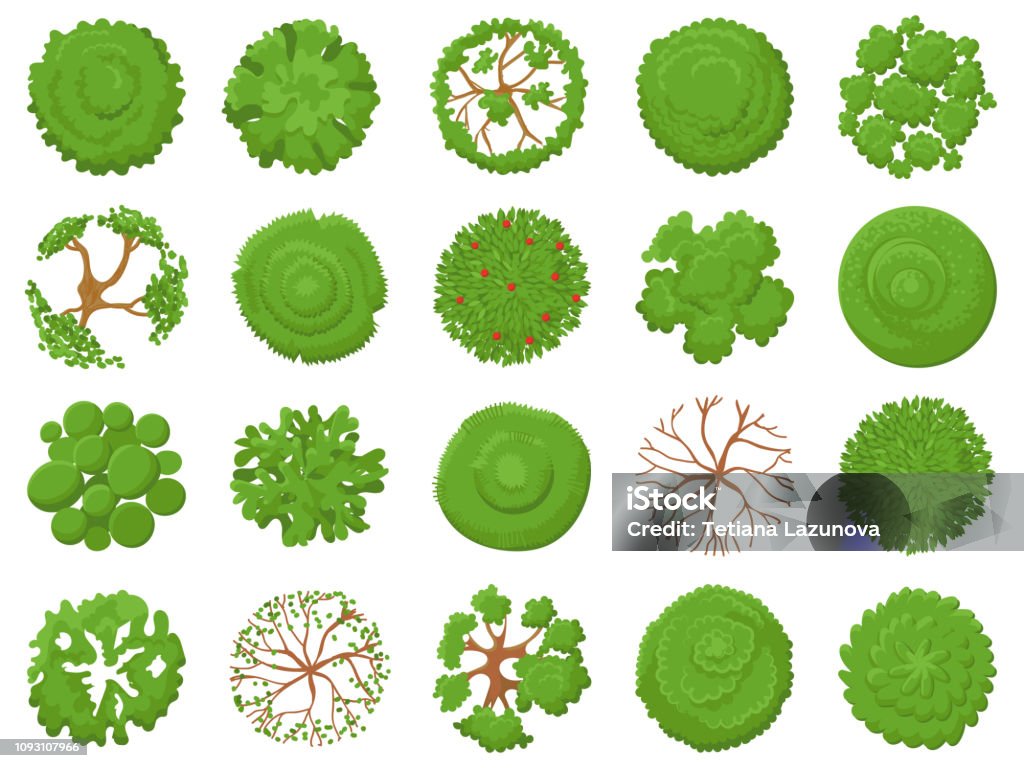 Top view tree. Planting green trees, park map vegetation and tropical forest maps viewing from above vector illustration set Top view tree. Planting green trees, park map vegetation and tropical forest maps viewing from above. Landscape garden tree planting design vector illustration isolated icons set Treetop stock vector