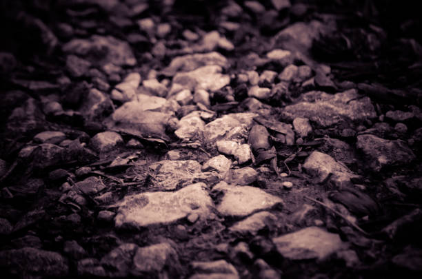 Gravel dirt road close-up