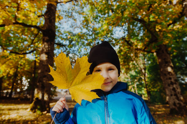 istock Portrait Of Boy Holding Maple Leaf In Forest During Autumn 1093114350