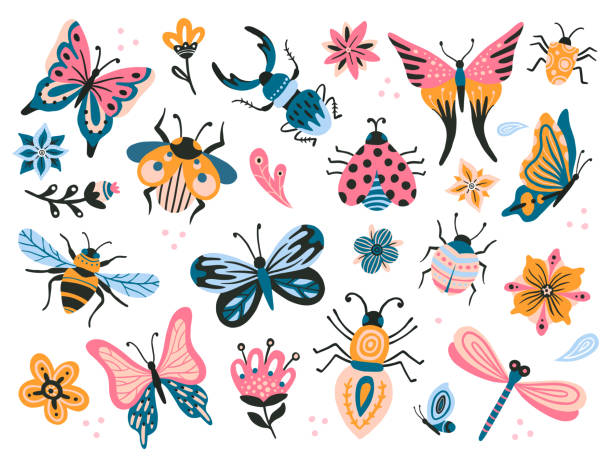 Cute bugs. Child drawing insects, flying butterflies and baby ladybird. Flower butterfly, fly insect and beetle flat vector set Cute bugs. Child drawing insects, flying butterflies and baby ladybird. Flower butterfly, fly insect and beetle. Flies horned bug insects and dragonfly flat vector isolated icons set dragonfly drawing stock illustrations