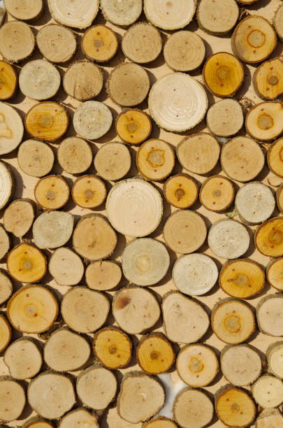 istock Wooden sawn circles background 1093119578