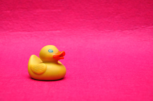 istock A rubber duck on a pink background 1093121238