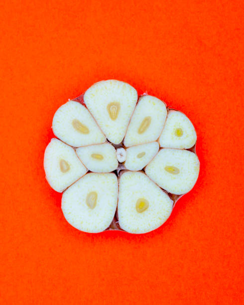 istock Half Garlic Bulb pop Art style centred from above on bright Dark Orange coloured  background 1093142726