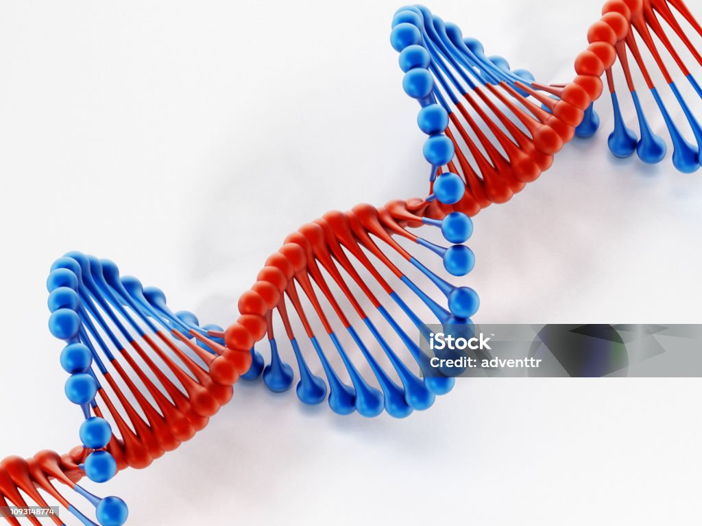 Dna Model 1 Dna Model Structure Handmade DNA: A Tactile Model To Explore The