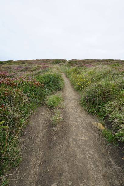 istock path track in the mountain in the nature 1093158182