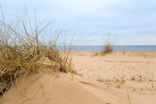 istock Cloudy day at the beach of Latvia 1093158902