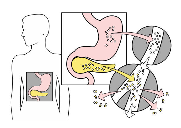 ilustraciones, imágenes clip art, dibujos animados e iconos de stock de diabetes - molecule glucose chemistry biochemistry