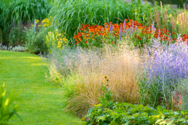 istock Lavish garden in many colors 1093180318
