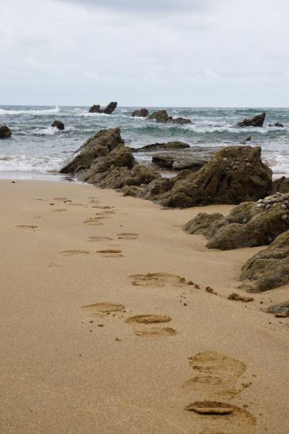 istock sand and rocks in the beach in the coast 1093189604