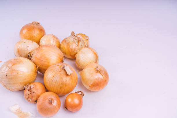 istock Fresh onion bulbs on white background. Vegetables for a healthy diet. 1093190288