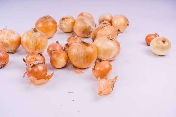 istock Fresh onion bulbs on white background. Vegetables for a healthy diet. 1093190502