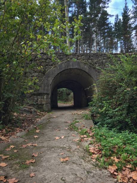 istock bridge structure architecture in the forest in the nature 1093190514