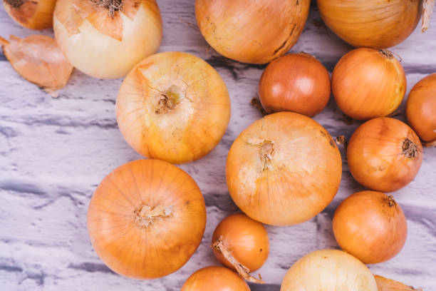 istock Fresh onion bulbs on white background. Vegetables for a healthy diet. 1093191816