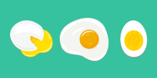 illustrazioni stock, clip art, cartoni animati e icone di tendenza di set di uova cotte in modo diverso. uovo in camicia, uovo fritto, uovo sodo. illustrazione vettoriale disegnata a mano. - hard cooked egg