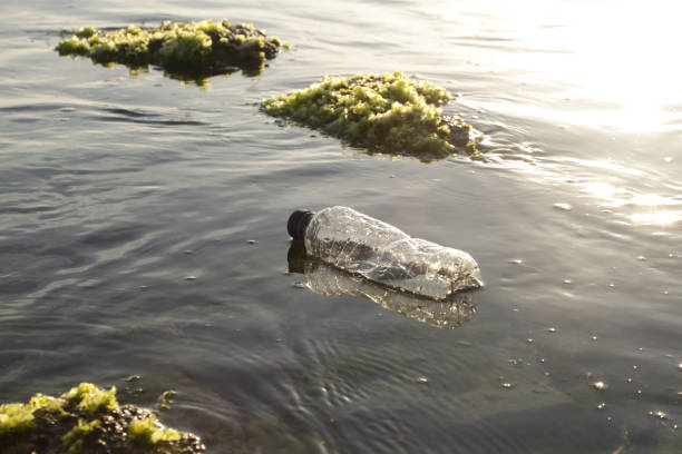 istock A plastic bottle in the ocean. Plastic pollution concept. Single-use plastic is a human addiction that is destroying our planet and impacts our waters, sea life and humans. 1093199448