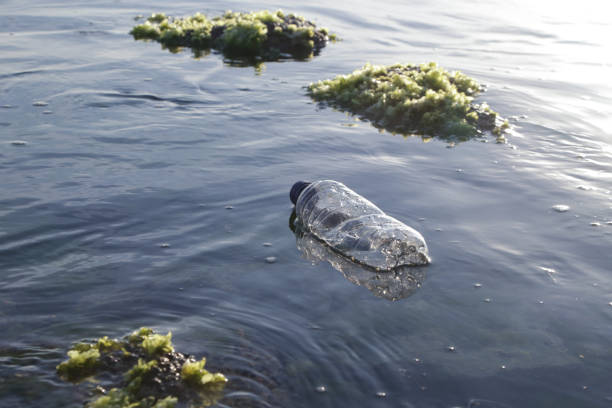 istock A plastic bottle in the ocean. Plastic pollution concept. Single-use plastic is a human addiction that is destroying our planet and impacts our waters, sea life and humans. 1093199538