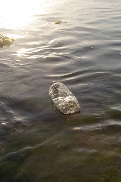 istock A plastic bottle in the ocean. Plastic pollution concept. Single-use plastic is a human addiction that is destroying our planet and impacts our waters, sea life and humans. 1093199776