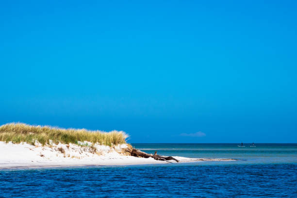 istock Dune on shore of the Baltic Sea 1093199812