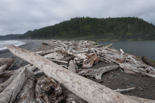 istock Wooden perspective in La Push beach area 1093202288