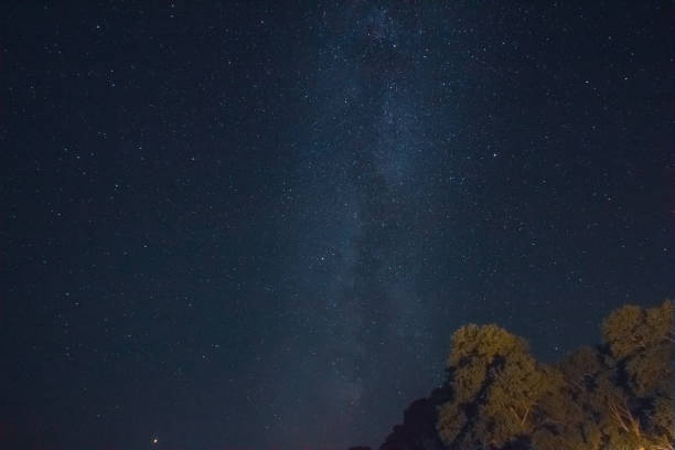 istock Milky Way in the starry night sky with pine trees 1093204598