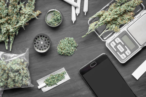 istock Cones of marijuana flowers on scales, grinder 1093207086