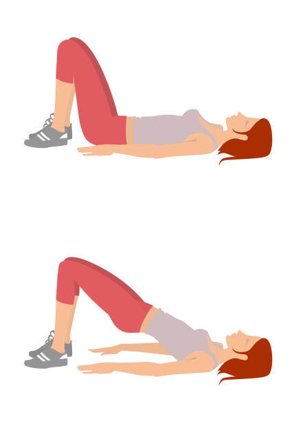 Exercise lifting the pelvic girdle Girll performs exercises lifting the pelvic girdle of the position lying on the back. Isolated on a white background pelvis stock illustrations