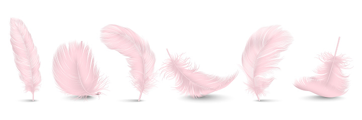 Vector 3d Realistic Different Falling Pink Fluffy Twirled Feather Set Closeup Isolated on White Background. Design Template, Clipart of Angel or Bird Detailed Feather in Various Shapes.