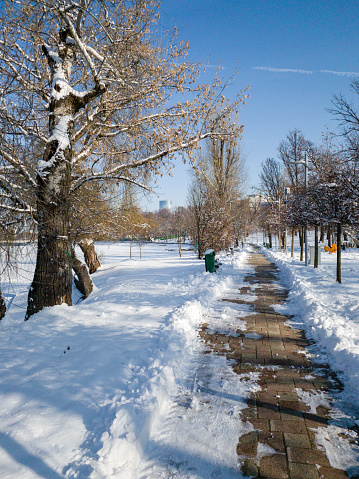 Pleasant winter day in the park.