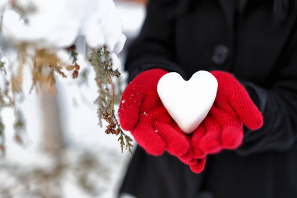 руки женщины, держащие снежное сердце - park snow tree back lit стоковые фото и изображения