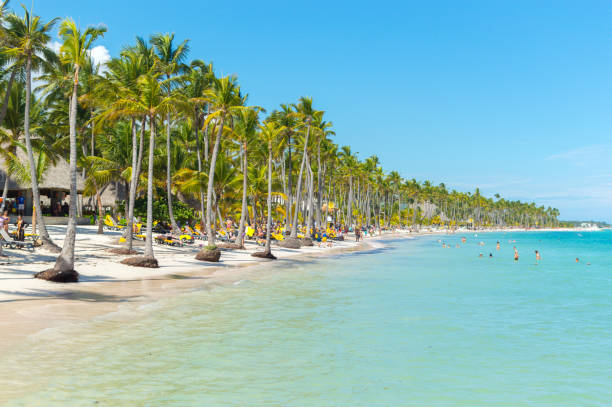 istock People relax on the beach among palm trees 1093213852