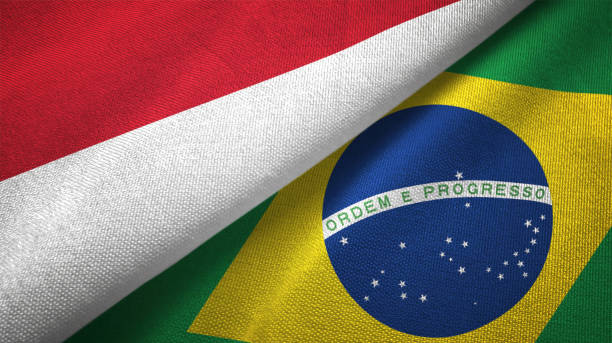 istock Brazil and Indonesia two flags together textile cloth fabric texture 1093217370