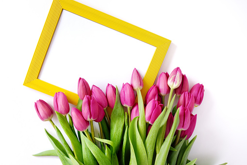Fresh Pink tulips. A bouquet of spring flowers on a white background Yellow frame