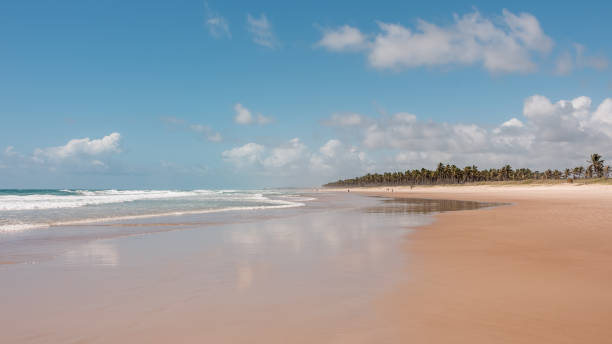 istock Frances Beach in Maceio city, Alagoas state, Brazil 1093223054