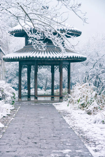 istock landscape west lake,hangzhou,china 1093225572