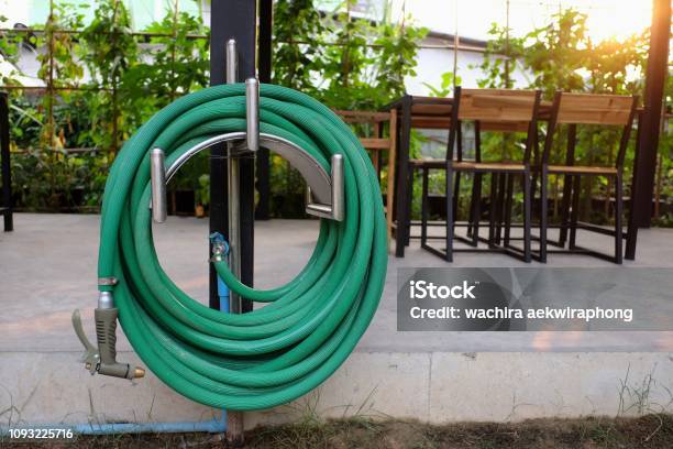 Green Watering Hose In The Garden Stock Photo - Download Image Now - Garden Hose, Hose, Close-up