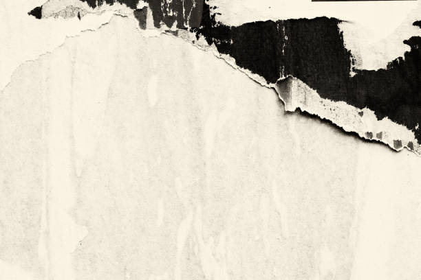 istock Blank brown beige old paper crumpled creased ripped torn posters grunge textures backdrop backgrounds plackard 1093227294