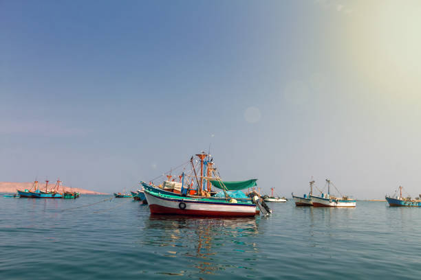 kolorowe łodzie rybackie zakotwiczone na molo w paracas, peru - ice fishing zdjęcia i obrazy z banku zdjęć