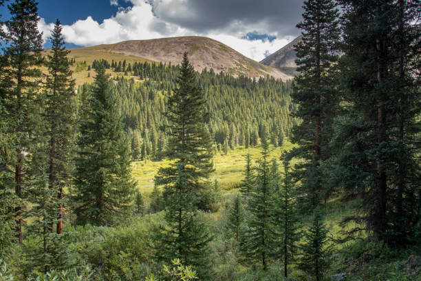 istock Mayflower Gulch, Summit County, Colorado 1093241954