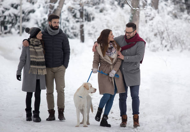 istock Friends walking dog on snow 1093245890