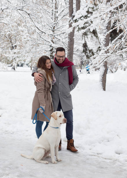 istock Couple walking dog on snow 1093246384