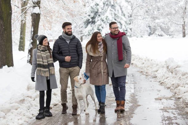 istock Friends walking dog on snow 1093246456