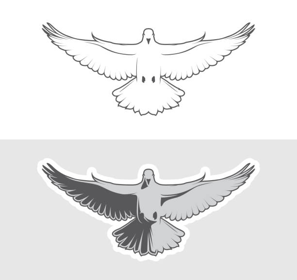 ilustraciones, imágenes clip art, dibujos animados e iconos de stock de logo de aves paloma - alas desplegadas