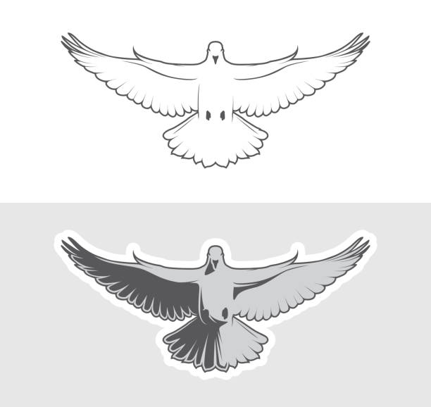 Dove birds logo Dove birds logo for peace concept and wedding design spread wings stock illustrations