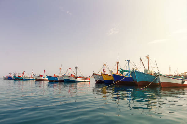 Colorful fishing boats anchored at the pier of Paracas, Peru stock photo