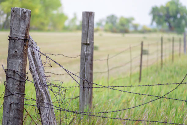 View down a country barbed wire fence