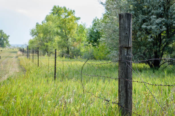 istock Old barbed wire fence along country road 1093249852
