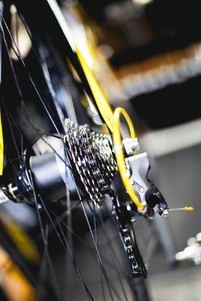 istock Man repairing bike 1093250306
