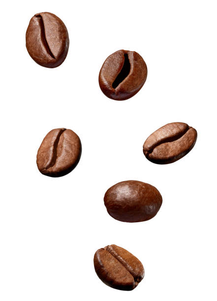 istock coffee bean brown roasted caffeine espresso seed 1093261260